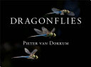 Read Pdf Dragonflies