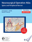 Neurosurgical Operative Atlas Spine And Peripheral Nerves