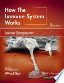 How The Immune System Works
