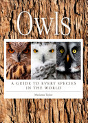Read Pdf Owls