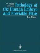 Pathology Of The Human Embryo And Previable Fetus