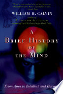 A Brief History Of The Mind