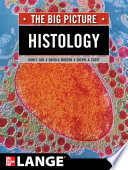 Histology The Big Picture