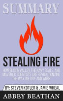 Summary Of Stealing Fire