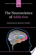 The Neuroscience Of Addiction