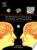 The Boundaries Of Consciousness Neurobiology And Neuropathology