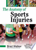 The Anatomy Of Sports Injuries