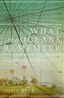 What the Oceans Remember pdf