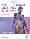 Snell S Clinical Anatomy By Regions