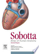 Sobotta Atlas Of Human Anatomy Vol 2 15th Ed English Latin