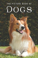 The Picture Book Of Dogs