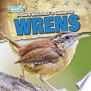 A Bird Watcher S Guide To Wrens