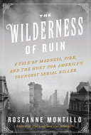 Read Pdf The Wilderness of Ruin