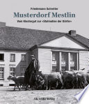 Musterdorf Mestlin