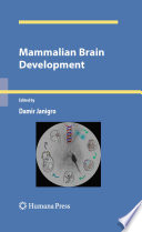 Mammalian Brain Development