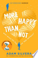More Happy Than Not Book