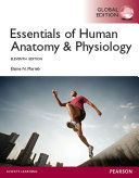 Essentials of Human Anatomy   Physiology  Global Edition