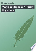 Wait and Hope  or  A Plucky Boy s Luck Book