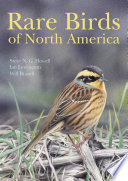 rare-birds-of-north-america