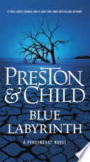 Book Blue Labyrinth Cover