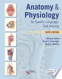 Anatomy   Physiology for Speech  Language  and Hearing  Sixth Edition Book