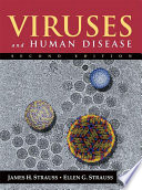 Book Viruses and Human Disease Cover