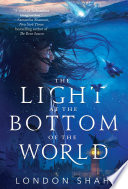 The Light at the Bottom of the World Book