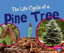The Life Cycle of a Pine Tree