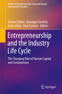 Entrepreneurship and the Industry Life Cycle