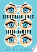Lightning Rods PDF Book By Helen DeWitt
