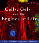 细胞凝胶和生命的引擎