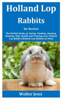 Holland Lop Rabbits for Novices