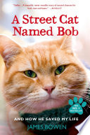 A Street Cat Named Bob image