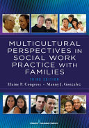 Multicultural Perspectives In Social Work Practice with Families, 3rd Edition