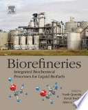 Biorefineries Book