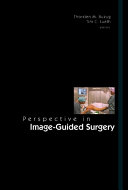 Perspective in Image-guided Surgery