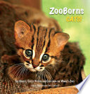 ZooBorns Cats 