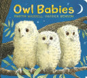 Owl Babies Book