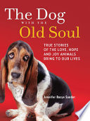 the-dog-with-the-old-soul