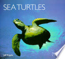Sea Turtles Book PDF