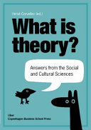 What is Theory 