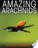 Amazing Arachnids Book