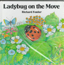 Ladybug on the Move