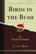 Birds in the Bush  Classic Reprint 
