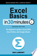 Excel Basics In 30 Minutes  2nd Edition 