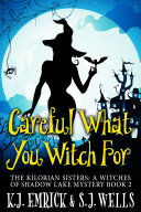 Read Pdf Careful What You Witch For