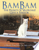 Bambam the Prince of Valprivas  Gets a Visitor