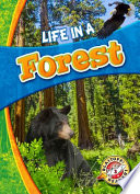 Life in a Forest Book PDF