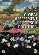 Global Assessment of Soil Pollution