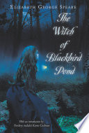 The Witch of Blackbird Pond image